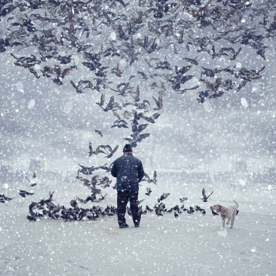 Photograph The pigeon feeders by Caras Ionut on 500px