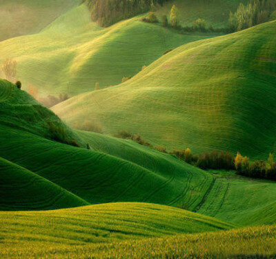 .msrl. 伊犁，纯天然绿地毯。自然的韵味，从来都是深不可测的。