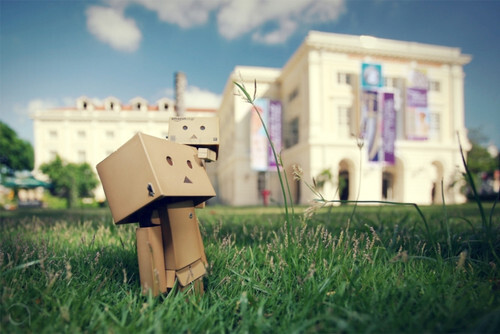 Danbo