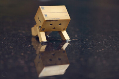 Danbo