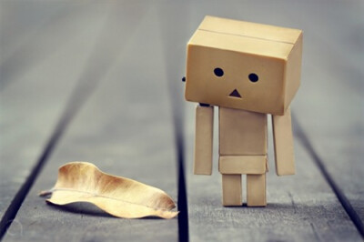 Danbo