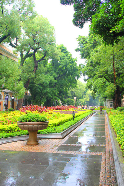 雨后沙面