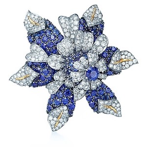 Jean Schlumberger Fleur De Mer Clip - Tiffany &amp; Co.