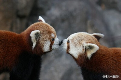 Kiss kiss kiss ~!