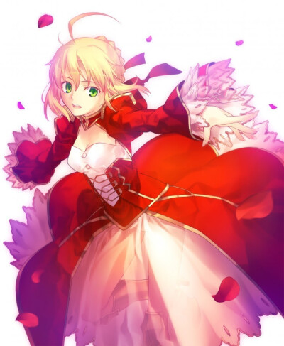 saber nero 尼禄·克劳狄乌斯·德鲁苏斯·日耳曼尼库斯