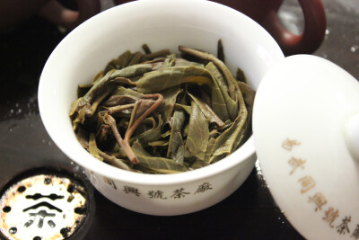 普茗若胜 冷凝香 大树普洱茶