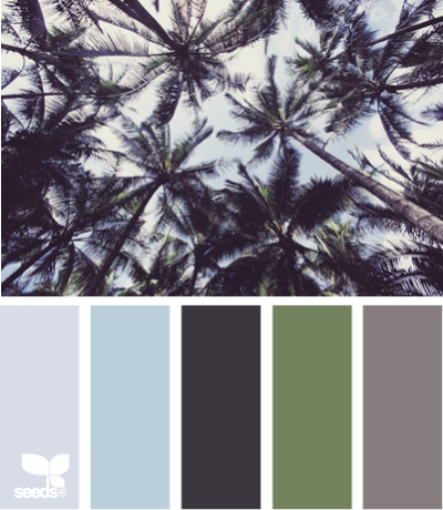 palm tones