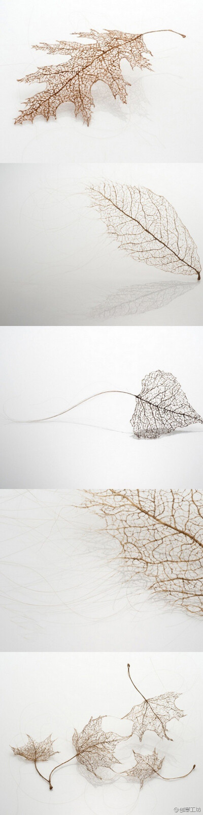 这不是叶子！！设计师Jenine Shereos通过缝合、包装、打结，将一堆普通的发丝装扮成了叶子的脉络！逆天呐！