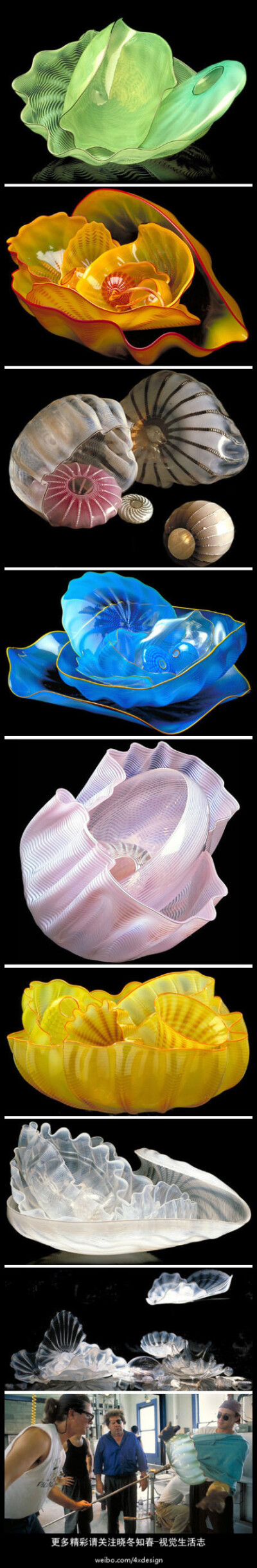 玻璃变形记----海底世界是Dale Chihuly 惯用设计元素之一。这组作品他将之命名为：Sea Forms. 海的形态。非常优雅美妙，你似乎能感觉到TA们正在海底舒展缓慢的悬浮摆动。更多精彩请关注@晓冬知春-视觉生活志