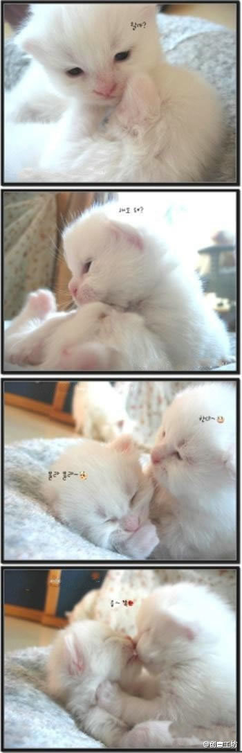 她睡着了，我要不要亲她呢？好紧张！算了，亲吧，死就死！！！