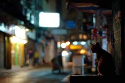 身居香港的摄影记者Micros坚持拍摄了街头的猫咪已有10年。http://www.streetcatfoto.hk/about_c.html 每一只你看到的被削去半只耳朵的孩子都是绝育过的，请不要欺负他们。