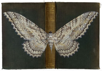 Rose Sanderson1 Artist Rose Sanderson butterflies on book covers