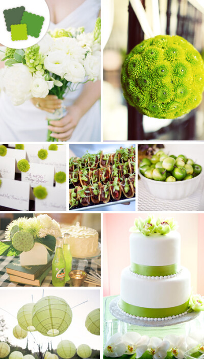 婚礼色板-各种色调的绿色