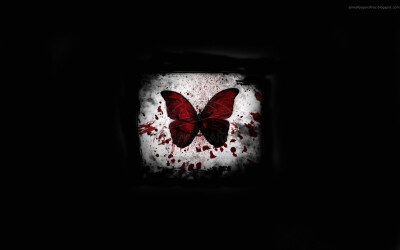 horror butterfly emo gothic / 1680x1050 Wallpaper