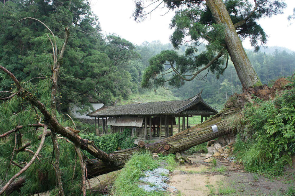 【山口桥】位于甘棠乡彩虹村上山口自然村水尾，建于清乾隆五十一年（1786）三月。桥拱以块石拱砌，桥面以卵石铺设。桥长21米，宽4.2米，单孔跨度4.1米，桥面至水面高度4.1米。桥屋建7开间32柱，九檩穿斗式构架，双坡顶。桥中设神龛，祀真武帝。桥两端有油杉、柳杉等古树名木十多棵，桥东有林公大王庙。桥东端有一通石碑，记载了彩虹村信女黄益姑偕子孙合力鼎建该桥的经过，独家承建一座桥梁，实不多见。石碑上书：清乾隆五十一年三月鼎建。屏邑卅一都五保彩虹村信女吴门黄益姑偕男国器叶室陈香姑暨孙梦得喜舍全拱斯桥全座，唯愿子孙昌盛。克择阴阳如风，石司兴化府林长辉。