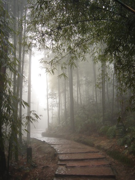 暑雨湿修竹，凉吹入高檐。from苏州形象堂