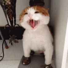 妈妈的，叫这么大声都没人应我！！