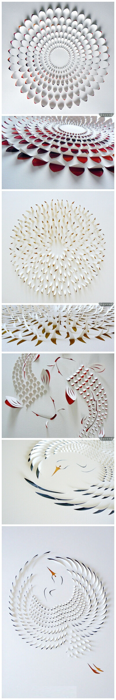 澳大利亚艺术家Lisa Rodden 的剪纸艺术