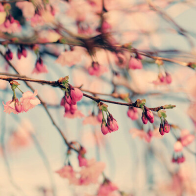 数月前 我曾在这张照片背后写过：行行重行行/在幽微的秋光里/没有什么 再能让我怀疑/对你的难以相忘