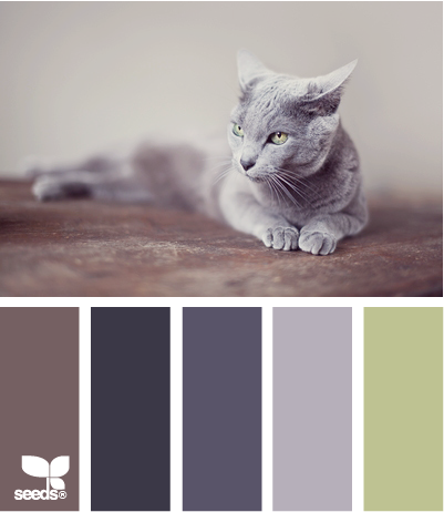 cat tones