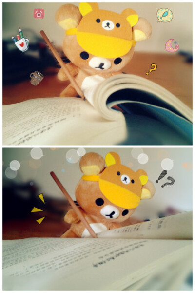 rilakkuma 、