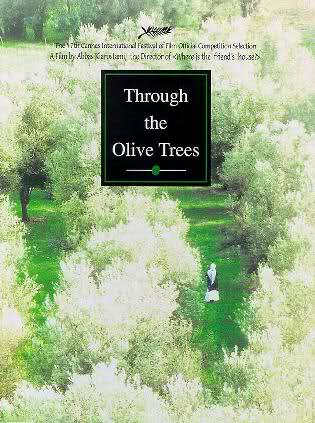 through the olive trees