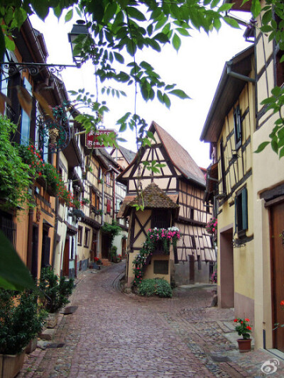 owl【不经意之间】美丽的法国小镇——Eguisheim ；你在这里，会觉得自己站在画里。