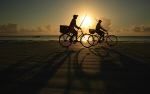 剪影，在以夜晚或早晨的天空为背景衬托的的剪影照片中，铭刻着一种美感和一定的神秘感；隐藏进了黄昏与黎明的的阴影中，展示了摄影艺术的丰富性与多样性。