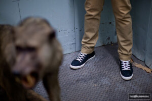 THE HUNDREDS 2012 秋季新品 Lookbook 美国街头文化品牌THE HUNDREDS向来积极投入服饰和杂志为主的双主线，最近准备于秋季推出的新品系列lookbook首度曝光。
