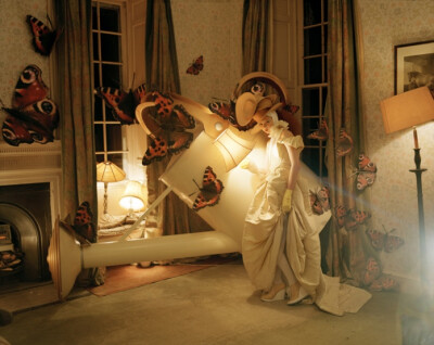 Tim Walker Photography