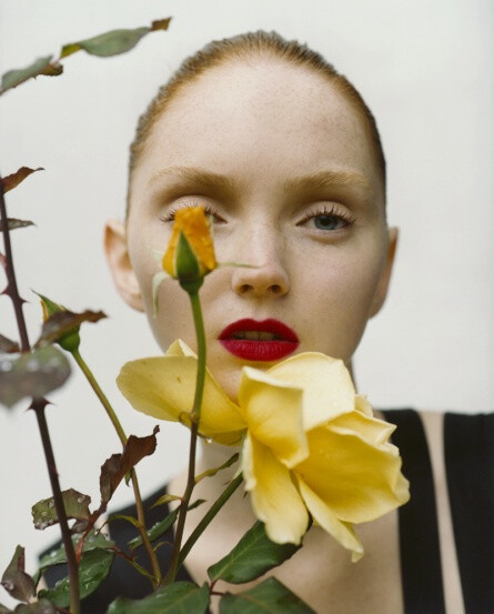 Tim Walker Photography