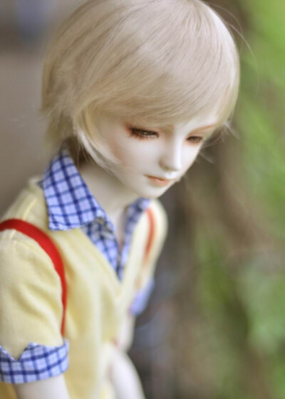 dolls、娃娃