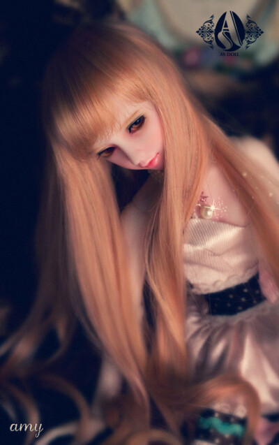 Amy、BJD