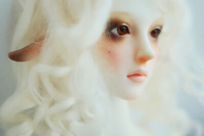 ﹣ ℒℴѵℯ ﹣、Super Dollfie （完美的人类）简称SD