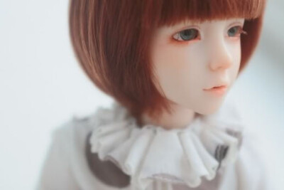 ﹣ ℒℴѵℯ ﹣、Super Dollfie （完美的人类）简称SD