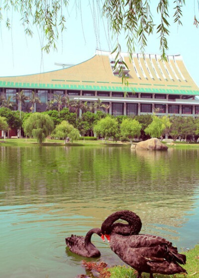 我和厦门有个约会。这里是厦门大学。