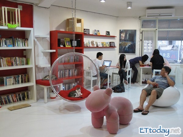 人們可以在這裡看書、工作、發呆，讓貓咪來陪伴。