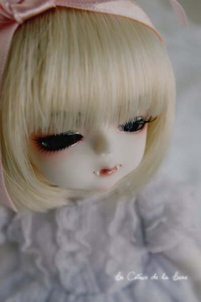 ﹣ ℒℴѵℯ ﹣、Super Dollfie （完美的人类）简称SD