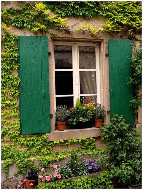 13004447978530、garden、decor、Flowers、小轩窗