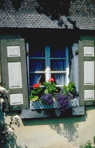 20070811222848184、窗户、欧洲、风景、鲜花、花卉