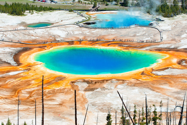 大棱镜泉（Grand Prismatic Spring）无疑是黄石诸多地热景观中我的最爱。适应不同温度的嗜热细菌携带不同的光合色素，从外向内（从冷到热）排列出红→橙→黄→绿的“光谱”，而泉眼附近水温过高没有细菌可以存活，则呈现水的湛蓝本色，刚好添上了“光谱”的最后一环。