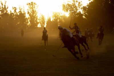 polo