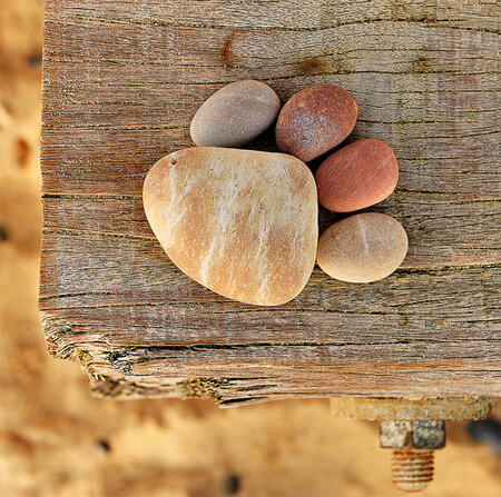 Stone Paw