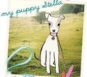 Fifi lapin 兔