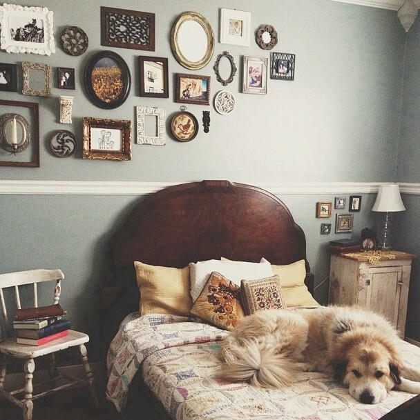 理想的家居。照片墙和宠物是标配。