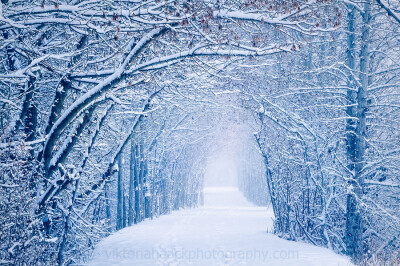 Photograph snow tunnel by Viktoria Haack on 500px