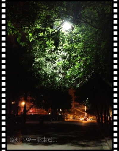 我想起路灯下曾一起走过...每次夜晚跑完步都会不自觉得走那条路。夏天的小风吹动夜晚路灯照耀着的树叶，摇晃着的就像那时我的心情...