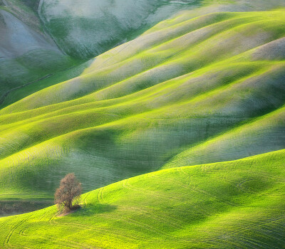 Photograph Tree by Marcin Sobas on 500px