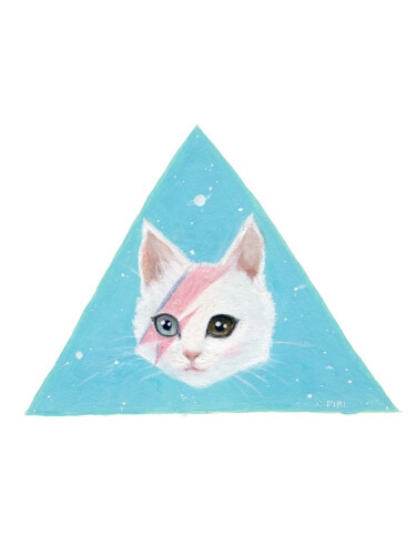 三角猫