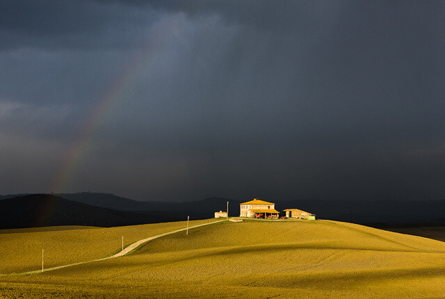 爱不到我 最想要 爱的人 谁还能要我 怎样呢 我爱的人 不是我的爱人她心里每一寸 都属于另一个人她真幸福 幸福得真残忍 让我又爱又恨 她的爱 怎么那么深 【我爱的人】陈小春